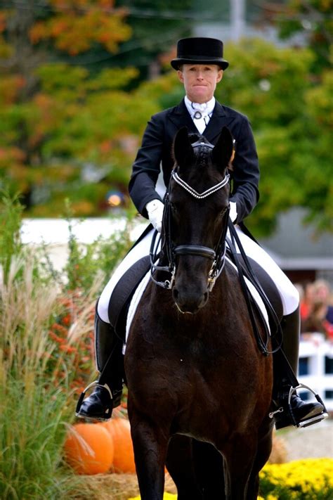 Compilation of blowjobs and facials with horses .